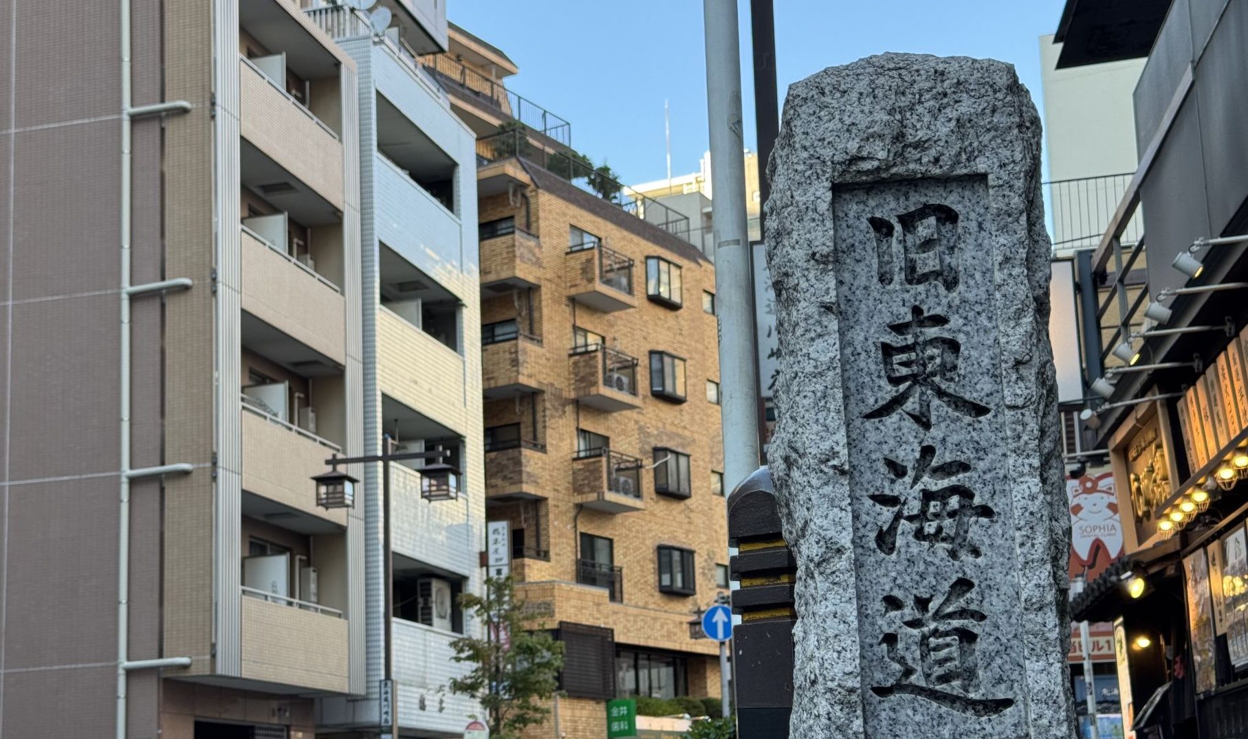 川崎宿江戸上り行列 当日概要